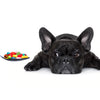 Synthetic Vitamins In Dog Food By Sean B. Jones