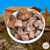 Noah's Ark Freeze-Dried
