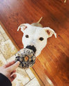 Pork Donuts - Freeze-Dried